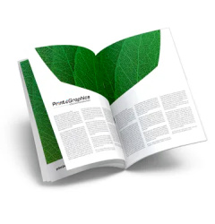 Brochures with stapled binding