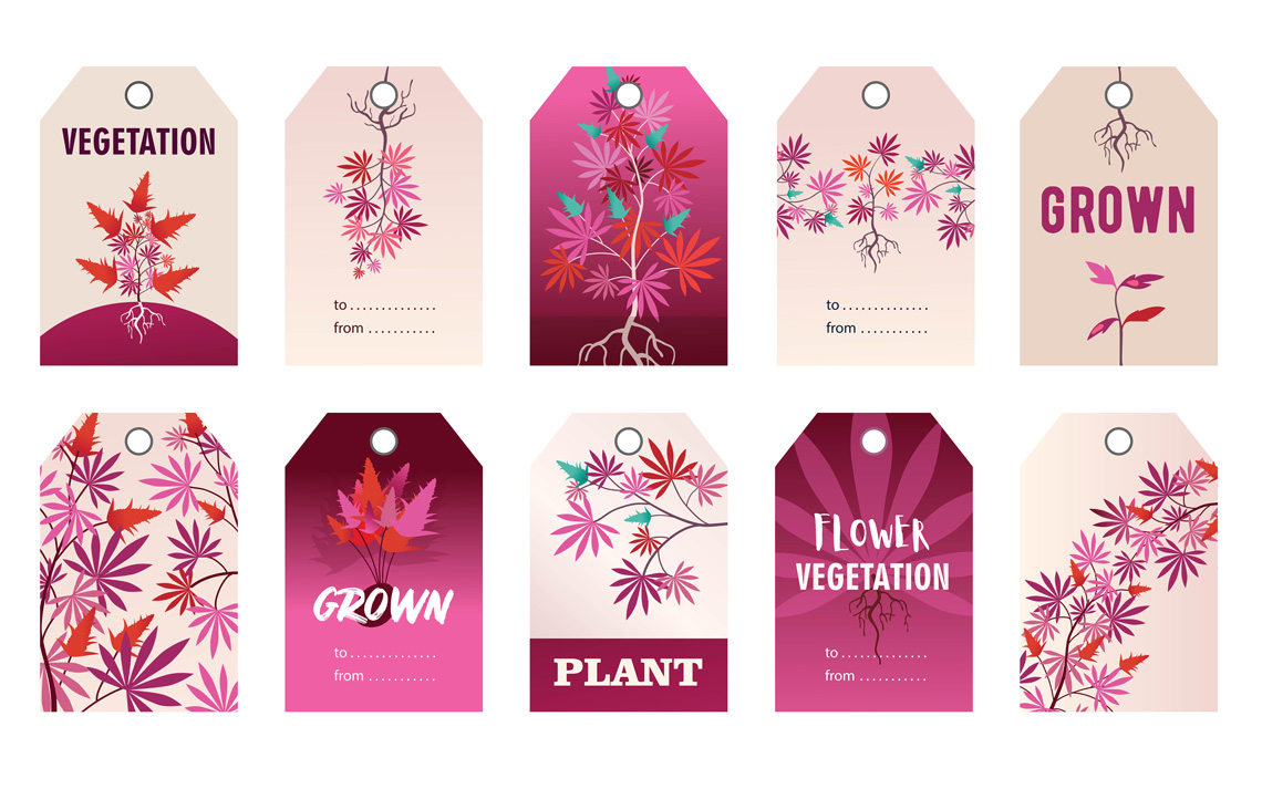 How Custom Labels Strengthen Your Brand Identity Year After Year